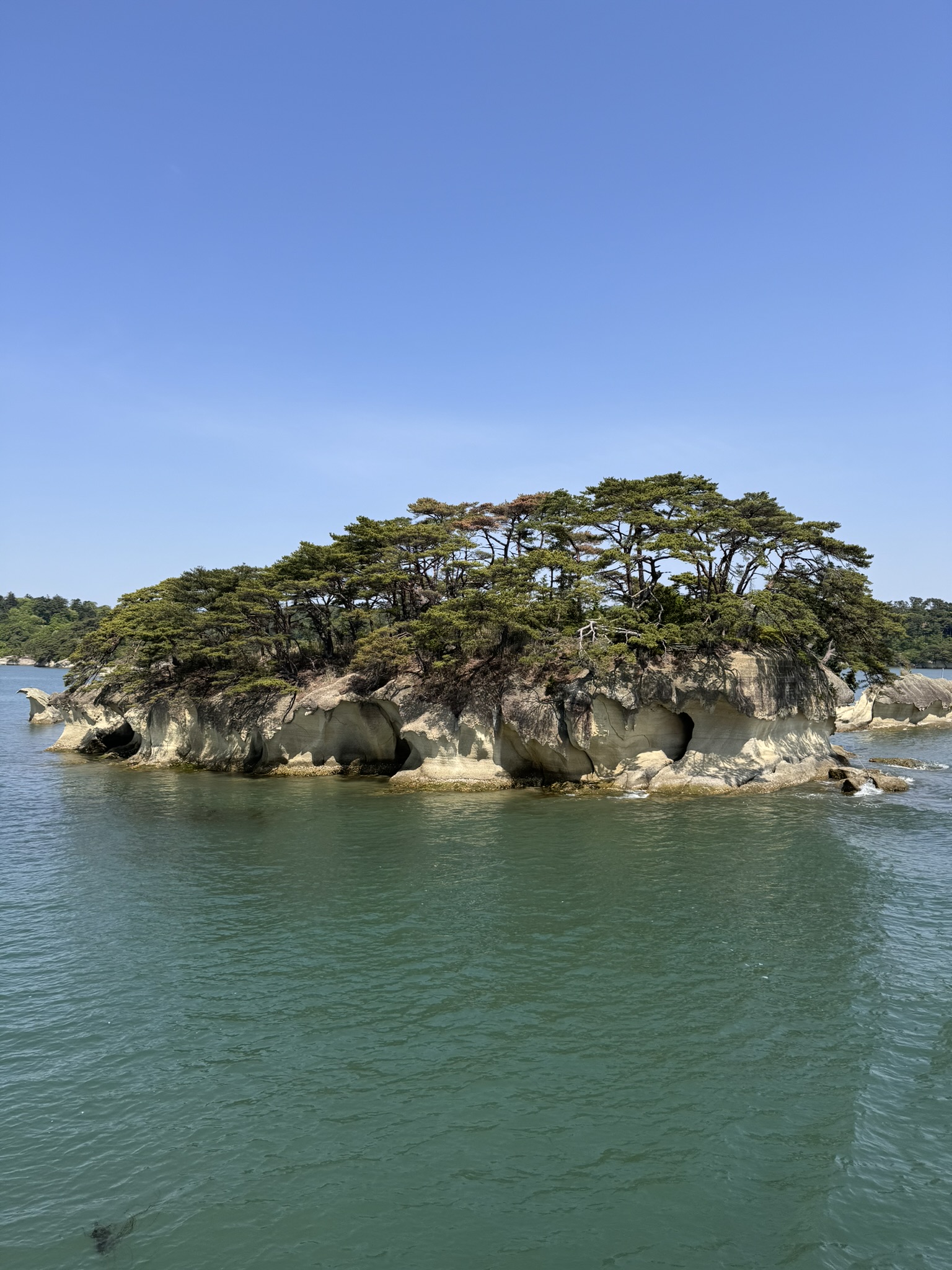 日本三景松島観光|松島湾遊覧船乗船と瑞巌寺・五大堂ガイドツアー(現地集合・現地解散)